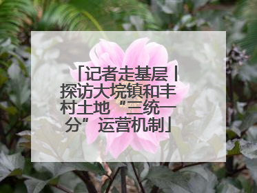 记者走基层丨探访大垸镇和丰村土地“三统一分”运营机制