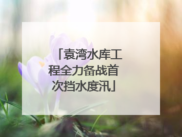 袁湾水库工程全力备战首次挡水度汛