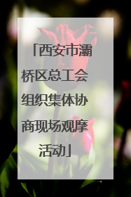 西安市灞桥区总工会组织集体协商现场观摩活动