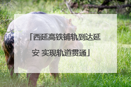西延高铁铺轨到达延安 实现轨道贯通