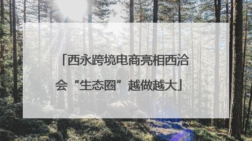 西永跨境电商亮相西洽会“生态圈”越做越大