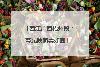 西江广西梧州段：霞光映照美如画