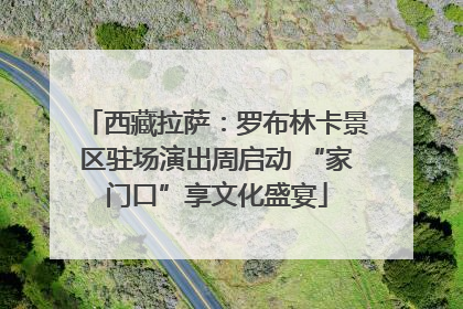 西藏拉萨：罗布林卡景区驻场演出周启动 “家门口”享文化盛宴