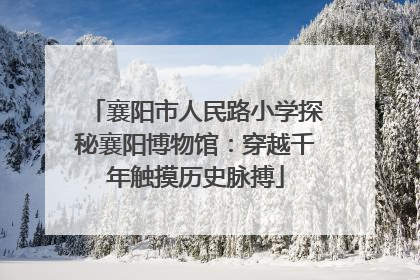 襄阳市人民路小学探秘襄阳博物馆：穿越千年触摸历史脉搏
