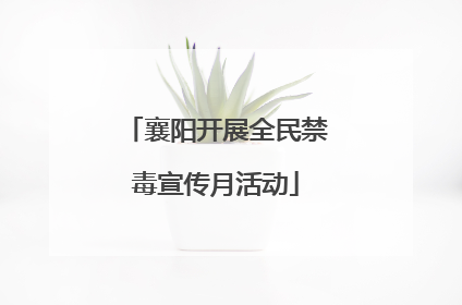襄阳开展全民禁毒宣传月活动