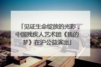见证生命绽放的光彩，中国残疾人艺术团《我的梦》在沪公益演出