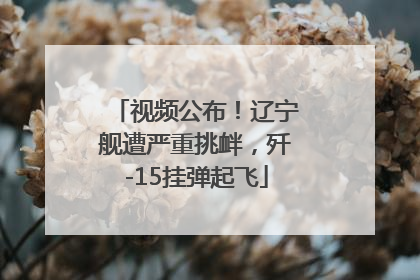 视频公布！辽宁舰遭严重挑衅，歼-15挂弹起飞