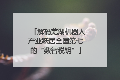 解码芜湖机器人产业跃居全国第七的“数智税钥”