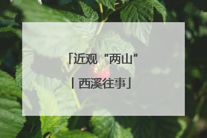 近观“两山”丨西溪往事
