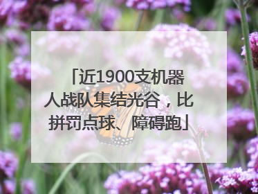 近1900支机器人战队集结光谷，比拼罚点球、障碍跑