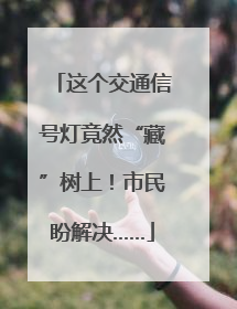 这个交通信号灯竟然“藏”树上！市民盼解决……