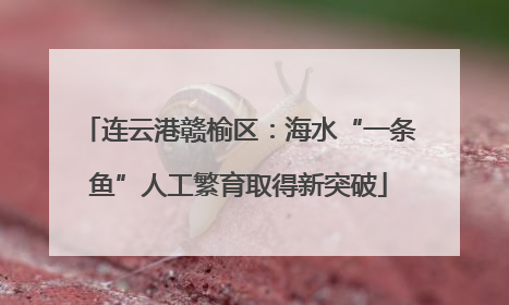 连云港赣榆区：海水“一条鱼”人工繁育取得新突破