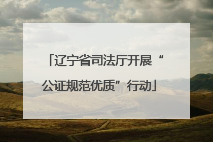 辽宁省司法厅开展“公证规范优质”行动