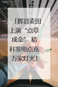 辉县麦田上演“点草成金” 秸秆发电点亮万家灯火