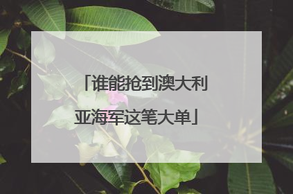 谁能抢到澳大利亚海军这笔大单