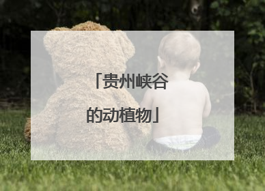 贵州峡谷的动植物