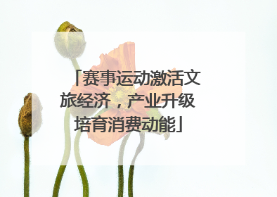赛事运动激活文旅经济，产业升级培育消费动能