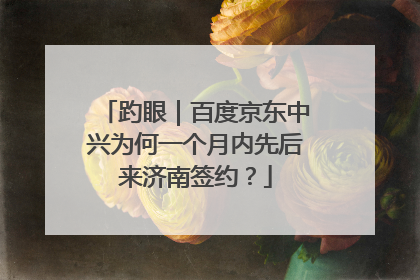 趵眼｜百度京东中兴为何一个月内先后来济南签约？