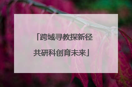 跨域寻教探新径 共研科创育未来