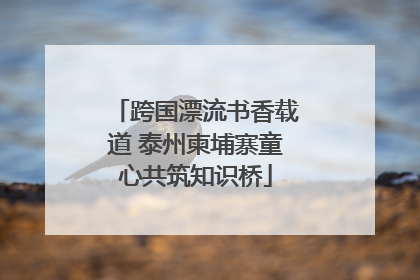跨国漂流书香载道 泰州柬埔寨童心共筑知识桥