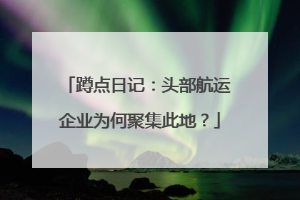 蹲点日记：头部航运企业为何聚集此地？