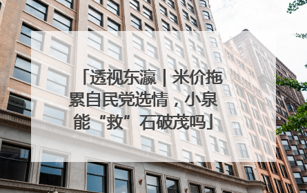 透视东瀛｜米价拖累自民党选情，小泉能“救”石破茂吗