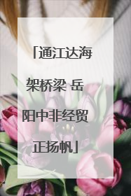 通江达海架桥梁 岳阳中非经贸正扬帆