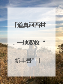 道真河西村：一地双收“新丰景”