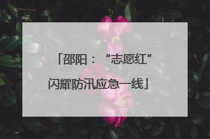 邵阳：“志愿红”闪耀防汛应急一线