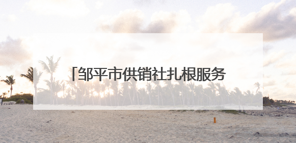 邹平市供销社扎根服务一线，助力丰产丰收
