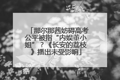 那尔那茜妨碍高考公平被指“内娱董小姐”？《长安的荔枝》播出未受影响