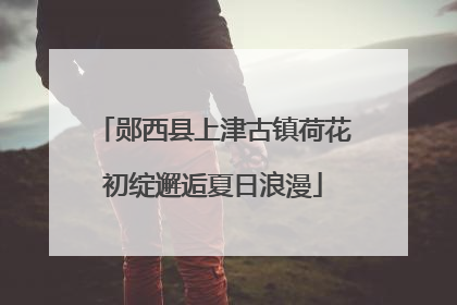 郧西县上津古镇荷花初绽邂逅夏日浪漫