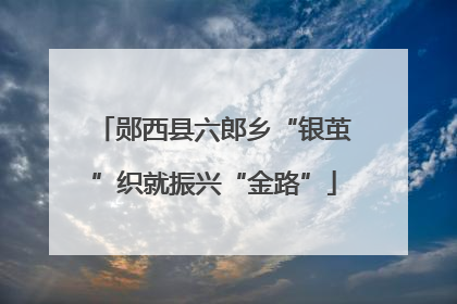 郧西县六郎乡“银茧”织就振兴“金路”
