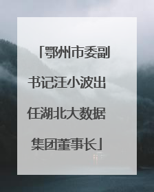 鄂州市委副书记汪小波出任湖北大数据集团董事长