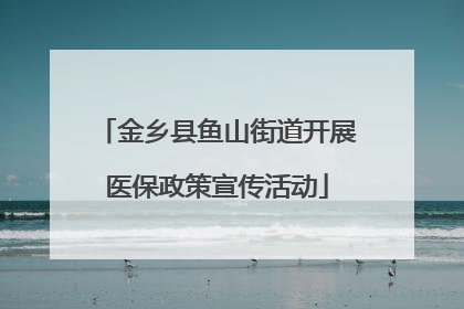 金乡县鱼山街道开展医保政策宣传活动