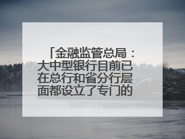 金融监管总局：大中型银行目前已在总行和省分行层面都设立了专门的科技金融部门