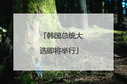 韩国总统大选即将举行