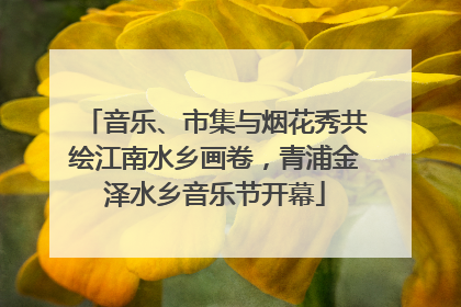 音乐、市集与烟花秀共绘江南水乡画卷，青浦金泽水乡音乐节开幕