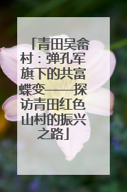 青田吴畲村：弹孔军旗下的共富蝶变——探访青田红色山村的振兴之路