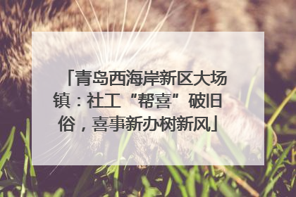 青岛西海岸新区大场镇：社工“帮喜”破旧俗，喜事新办树新风