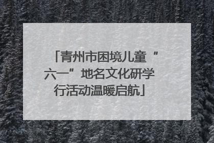 青州市困境儿童“六一”地名文化研学行活动温暖启航