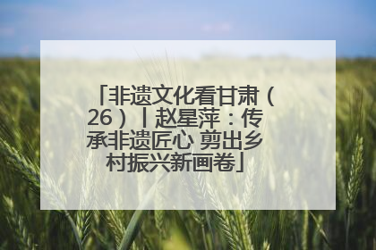 非遗文化看甘肃（26）丨赵星萍：传承非遗匠心 剪出乡村振兴新画卷