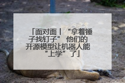 面对面丨“拿着锤子找钉子” 他们的开源模型让机器人能“上学”了