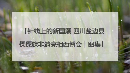 针线上的新国潮 四川盐边县傈僳族非遗亮相西博会｜图集