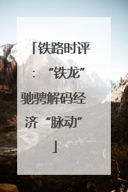 铁路时评：“铁龙”驰骋解码经济“脉动”