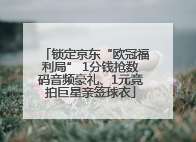 锁定京东“欧冠福利局” 1分钱抢数码音频豪礼、1元竞拍巨星亲签球衣