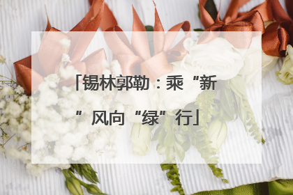 锡林郭勒：乘“新”风向“绿”行
