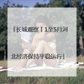 长城观察丨1至5月河北经济保持平稳运行