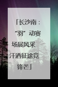 长沙南：“羽”动赛场展风采 汗洒征途竞锋芒
