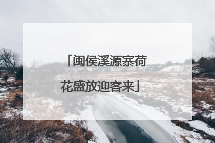 闽侯溪源寨荷花盛放迎客来